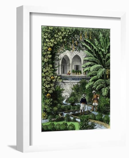 Gourds Grown as a Vine in an Arab Garden, Palestine, 19th Century-null-Framed Giclee Print