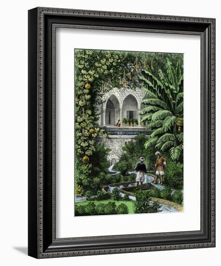 Gourds Grown as a Vine in an Arab Garden, Palestine, 19th Century-null-Framed Giclee Print