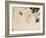 Gourds-Xu Gu-Framed Giclee Print