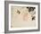 Gourds-Xu Gu-Framed Giclee Print