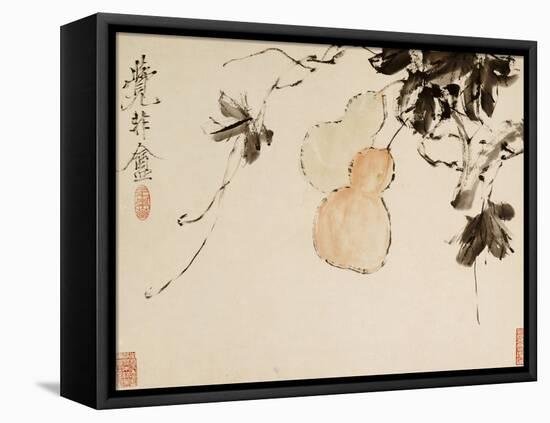 Gourds-Xu Gu-Framed Premier Image Canvas