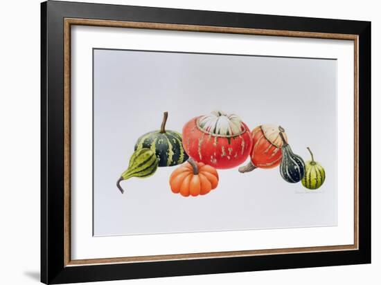 Gourds-Sally Crosthwaite-Framed Giclee Print