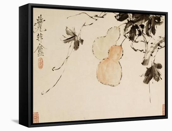 Gourds-Xu Gu-Framed Premier Image Canvas