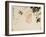 Gourds-Xu Gu-Framed Giclee Print