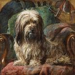 Jeannie, Queen Victoria's Favourite Spaniel-Gourlay Steel-Premier Image Canvas