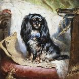 Jeannie, Queen Victoria's Favourite Spaniel-Gourlay Steel-Premier Image Canvas