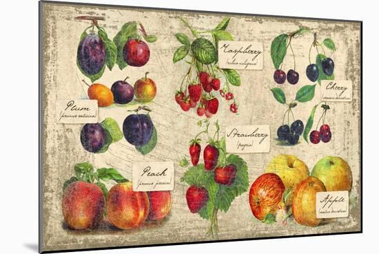 Gourmet Fruit-Kate Ward Thacker-Mounted Giclee Print