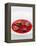 Gourmet Plate-Fabio Petroni-Framed Premier Image Canvas