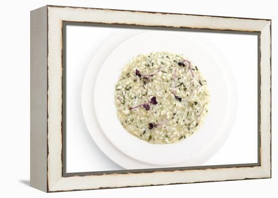 Gourmet Plate-Fabio Petroni-Framed Premier Image Canvas