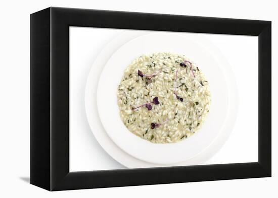 Gourmet Plate-Fabio Petroni-Framed Premier Image Canvas