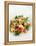 Gourmet Plate-Fabio Petroni-Framed Premier Image Canvas