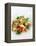 Gourmet Plate-Fabio Petroni-Framed Premier Image Canvas