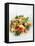 Gourmet Plate-Fabio Petroni-Framed Premier Image Canvas