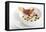 Gourmet Plate-Fabio Petroni-Framed Premier Image Canvas