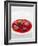 Gourmet Plate-Fabio Petroni-Framed Photographic Print