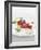 Gourmet Plate-Fabio Petroni-Framed Photographic Print