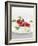 Gourmet Plate-Fabio Petroni-Framed Photographic Print