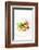 Gourmet Plate-Fabio Petroni-Framed Photographic Print