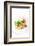 Gourmet Plate-Fabio Petroni-Framed Photographic Print