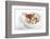 Gourmet Plate-Fabio Petroni-Framed Photographic Print