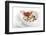 Gourmet Plate-Fabio Petroni-Framed Photographic Print