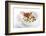 Gourmet Plate-Fabio Petroni-Framed Photographic Print