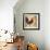 Gourmet Rooster I-Paul Brent-Framed Art Print displayed on a wall