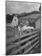 Photographic Print