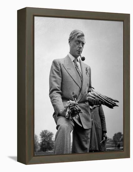 Governor of the Bahamas Duke of Windsor Holding Asparagus Picked by Bahamian Laborers During WWII-Peter Stackpole-Framed Premier Image Canvas