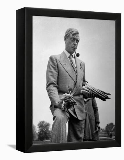 Governor of the Bahamas Duke of Windsor Holding Asparagus Picked by Bahamian Laborers During WWII-Peter Stackpole-Framed Premier Image Canvas