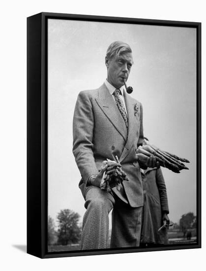 Governor of the Bahamas Duke of Windsor Holding Asparagus Picked by Bahamian Laborers During WWII-Peter Stackpole-Framed Premier Image Canvas