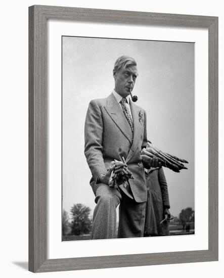 Governor of the Bahamas Duke of Windsor Holding Asparagus Picked by Bahamian Laborers During WWII-Peter Stackpole-Framed Premium Photographic Print