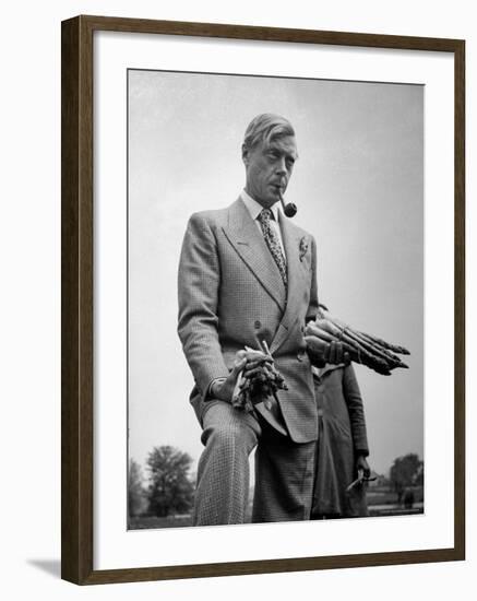 Governor of the Bahamas Duke of Windsor Holding Asparagus Picked by Bahamian Laborers During WWII-Peter Stackpole-Framed Premium Photographic Print
