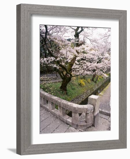 Governor's Walk #2-Monte Nagler-Framed Photographic Print