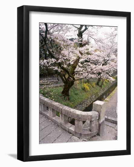 Governor's Walk #2-Monte Nagler-Framed Photographic Print