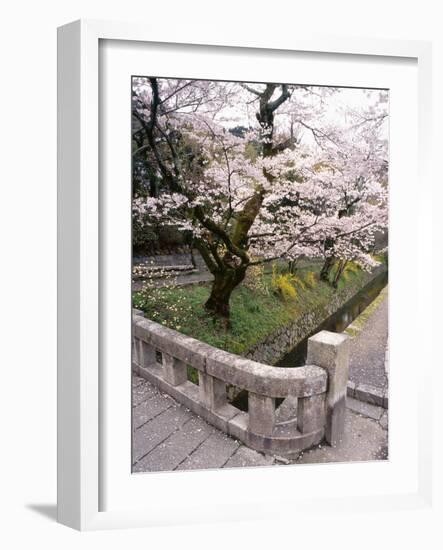 Governor's Walk #2-Monte Nagler-Framed Photographic Print