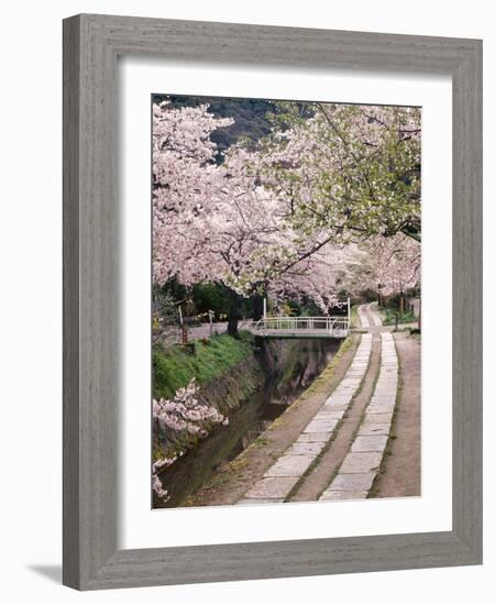 Governor's Walk-Monte Nagler-Framed Photographic Print