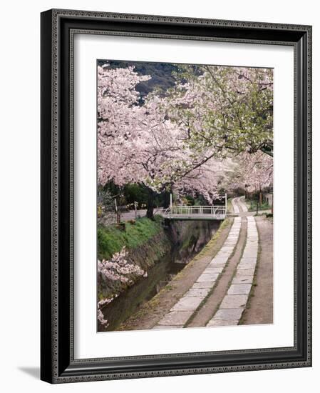 Governor's Walk-Monte Nagler-Framed Photographic Print