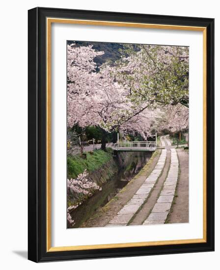 Governor's Walk-Monte Nagler-Framed Photographic Print