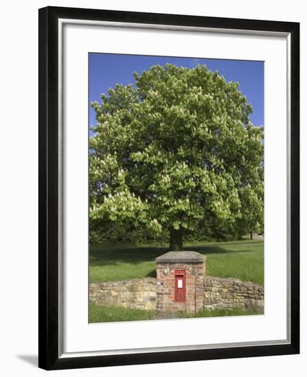 GR Royal Mail Rural Letter Box-Richard Klune-Framed Photographic Print