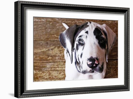 Grace II-Leesa White-Framed Photographic Print