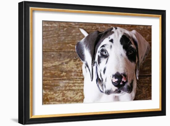 Grace II-Leesa White-Framed Photographic Print