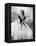 Grace Kelly, Rear Window, 1954-null-Framed Premier Image Canvas