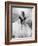 Grace Kelly, Rear Window, 1954-null-Framed Photographic Print