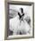 Grace Kelly-null-Framed Photo