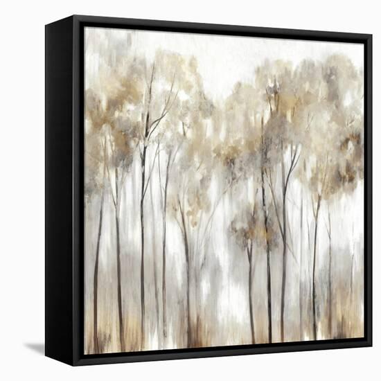 Grace Land-Allison Pearce-Framed Stretched Canvas