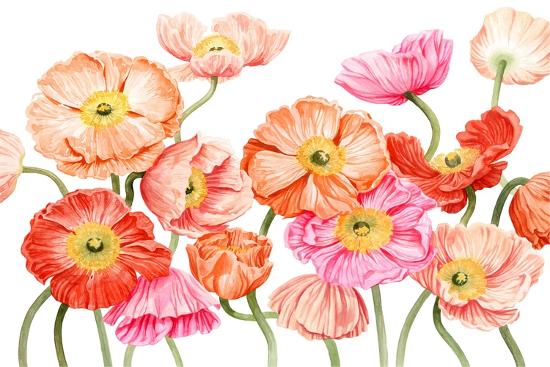 Art Print, , large