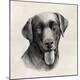 Premium Giclee Print