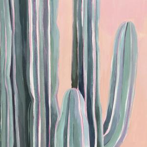 Desert Dawn V by Grace Popp