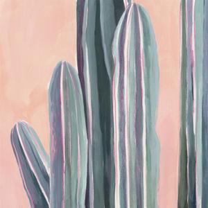 Desert Dawn VI by Grace Popp